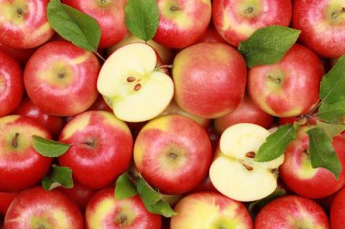 Яблоки защищают от повышенного уровня холестерина в крови и продлевают жизнь